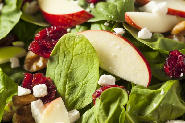 Ensalada casera de espinacas de nuez de manzana de otoño —  Fotos de Stock