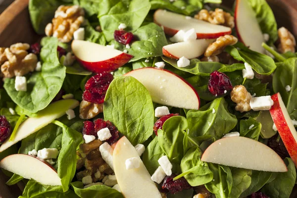 Homemade Autumn Apple Walnut Spinach Salad — Stock Photo, Image