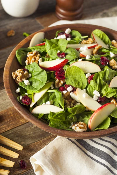 Domácí podzimní jablečný ořech špenátový salát — Stock fotografie
