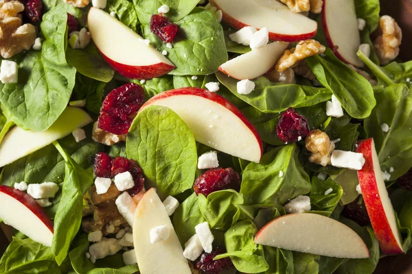 Homemade Autumn Apple Walnut Spinach Salad — Stock Photo, Image