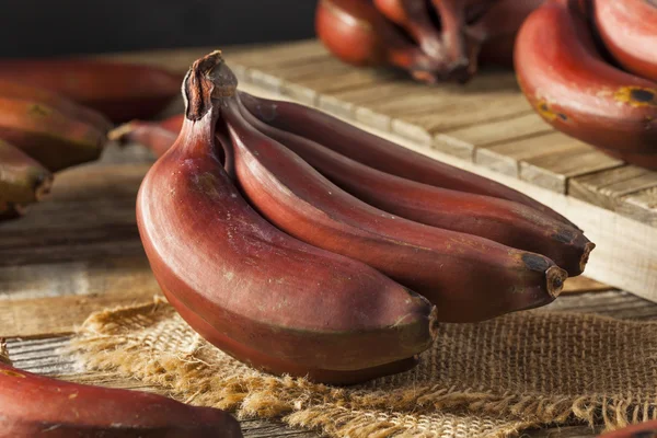 Raw Organic Red Bananas — Stock Photo, Image