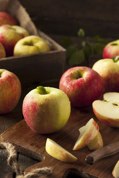 Manzanas crujientes orgánicas crudas — Foto de Stock