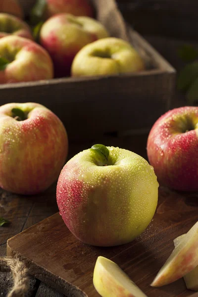 Raw Organic Honeycrisp Apples — Stock Photo, Image