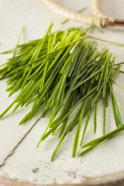 Healthy Raw Green Wheat Grass — Stock Photo, Image