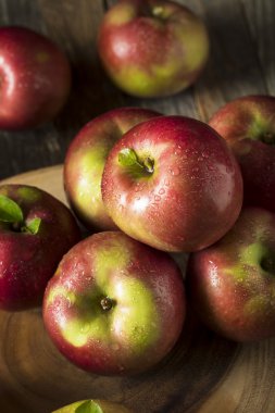 Raw Organic Red Mcintosh Apples clipart