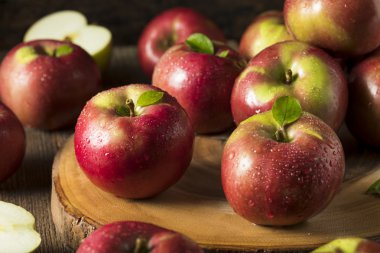 Raw Organic Red Mcintosh Apples clipart