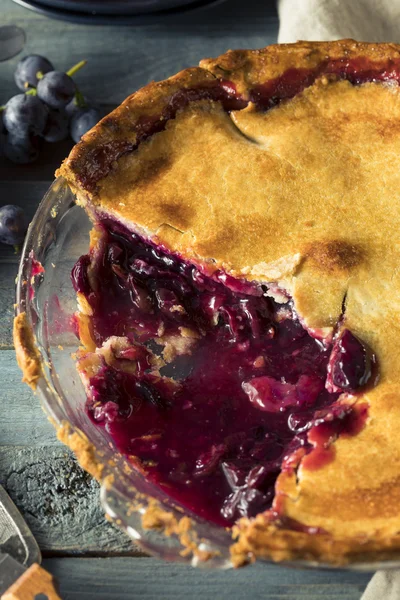 Homemade Sweet Concord Grape Pie — Stock Photo, Image