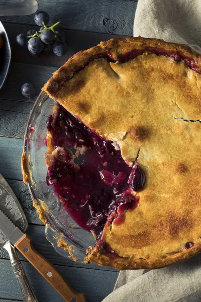 Homemade Sweet Concord Grape Pie — Stock Photo, Image