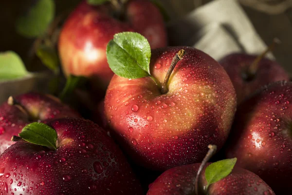 Raw Organic Red Delicious Apples — Stock Photo, Image