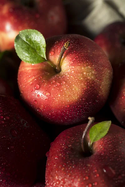 RAW οργανικό κόκκινα μήλα νόστιμα — Φωτογραφία Αρχείου