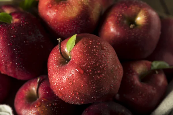 Rauwe biologische rode heerlijke appels — Stockfoto