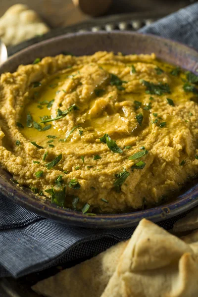 Hemmagjord grekiska pumpa Hummus — Stockfoto