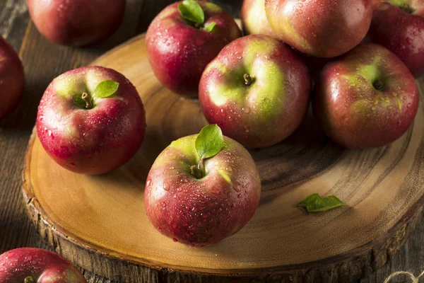 Raw bio červená Mcintosh jablka — Stock fotografie