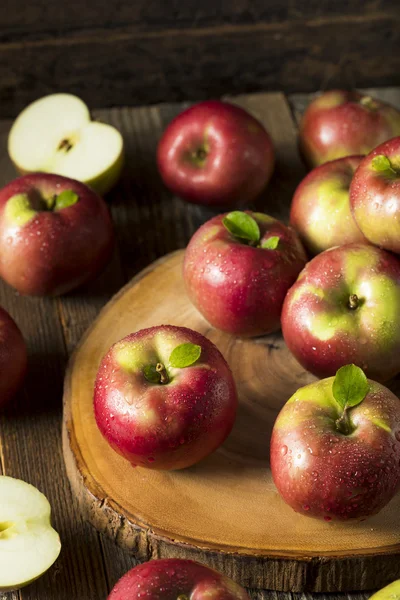 Raw Organic Red Mcintosh Apples — Stock Photo, Image