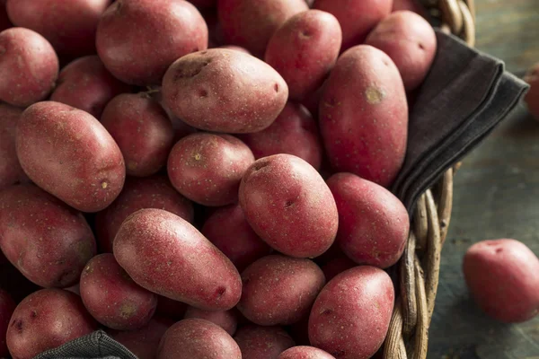 Patatas rojas orgánicas crudas — Foto de Stock