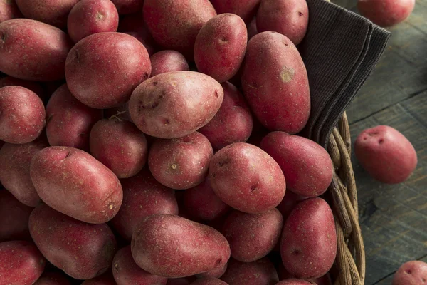 Patatas rojas orgánicas crudas — Foto de Stock