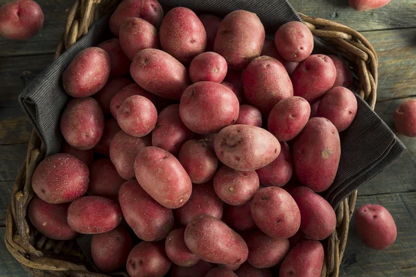 Pommes de terre rouges biologiques crues — Photo