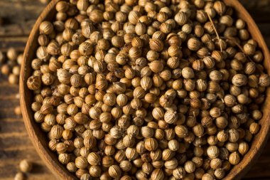 Çiğ organik kişniş tohumları kasede