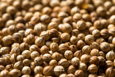 Çiğ organik kişniş tohumları kasede