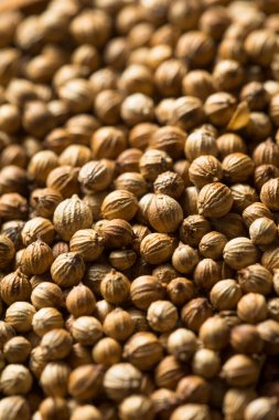 Çiğ organik kişniş tohumları kasede