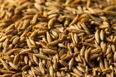 Kase içinde çiğ kahverengi organik kimyon tohumu