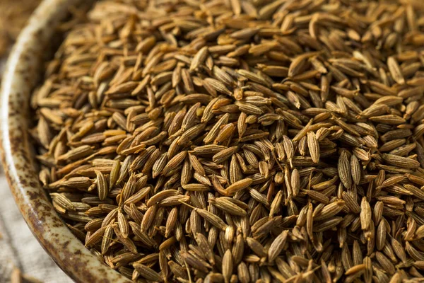 Raw Brown Organic Cumin Seed Bowl — Stock Photo, Image