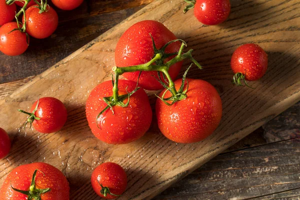 Tomates Rouges Crues Biologiques Grappe — Photo