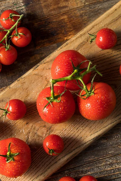 Tomates Ecológicos Rojos Crudos Racimo — Foto de Stock