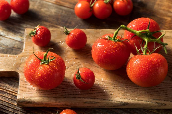 Tomates Ecológicos Rojos Crudos Racimo — Foto de Stock