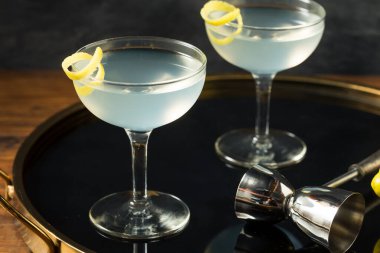 Limonlu ev yapımı Cin Martini.