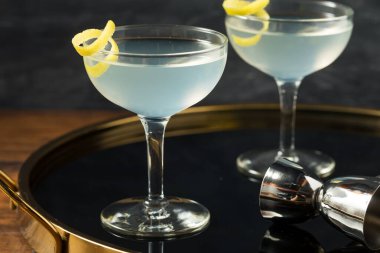 Limonlu ev yapımı Cin Martini.