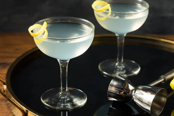 Házi Készítésű Száraz Gin Martini Citromos Körettel — Stock Fotó