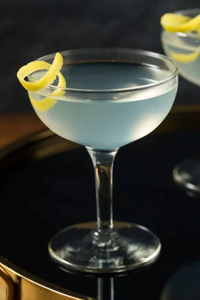 Homemade Dry Gin Martini Lemon Garnish — 스톡 사진