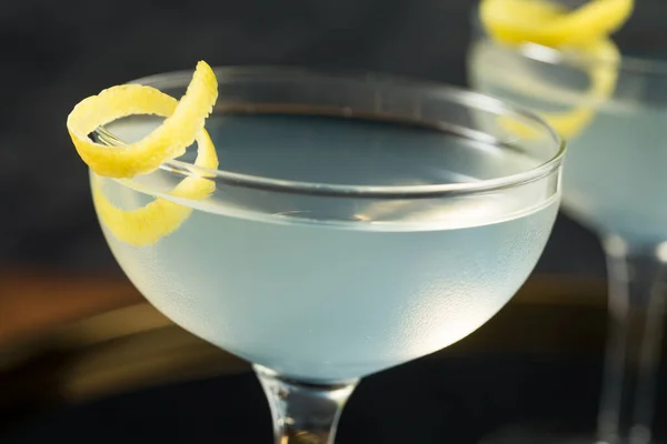 Homemade Dry Gin Martini Lemon Garnish — 스톡 사진