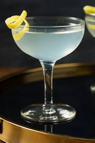 Homemade Dry Gin Martini Lemon Garnish — 스톡 사진