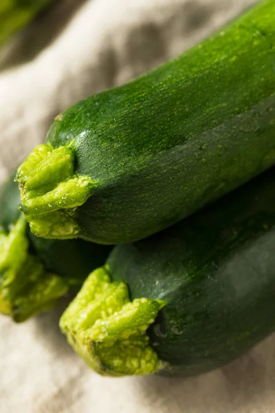 Organic Ripe Green Zucchini Squash Ready to Eat