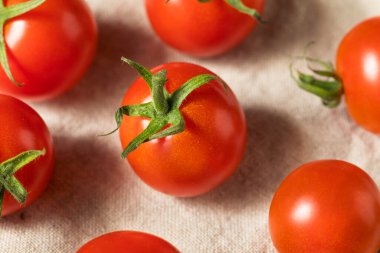 Çiğ Kırmızı Organik Kiraz Domatesleri Yemeye Hazır