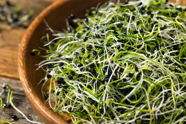 Raw Green Organic Onion Sprouts Ready Eat — Stock Photo, Image