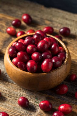 Kase içinde çiğ kırmızı organik kızılcık.