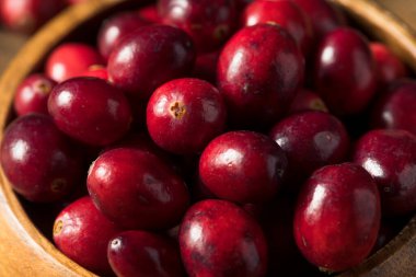 Kase içinde çiğ kırmızı organik kızılcık.