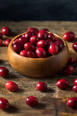 Kase içinde çiğ kırmızı organik kızılcık.