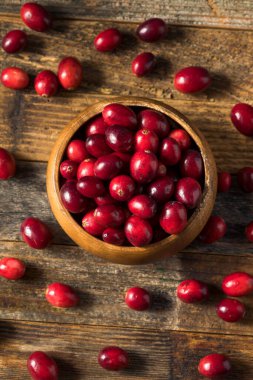 Kase içinde çiğ kırmızı organik kızılcık.