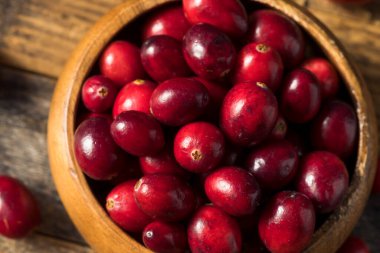 Kase içinde çiğ kırmızı organik kızılcık.