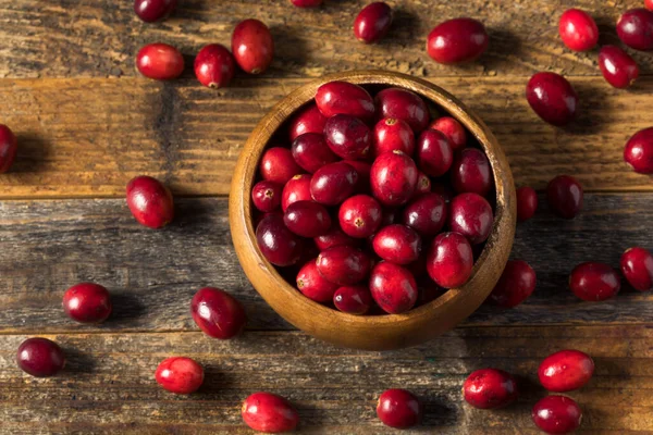 Cranberries Orgânicos Vermelhos Crus Uma Tigela — Fotografia de Stock