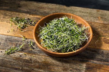 Çiğ yeşil organik soğan filizleri yemeye hazır.