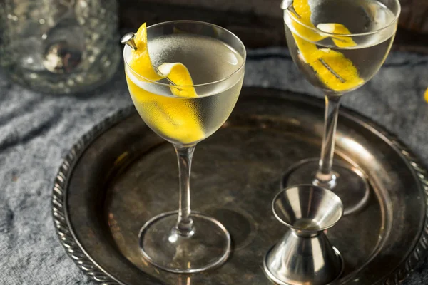 Boozy Citron Gin Martini Sec Avec Vermouth — Photo