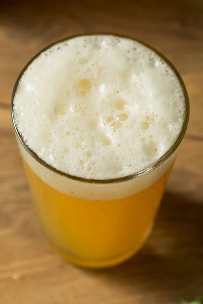 Birra Ipa Hoppy Rinfrescante Alcolica Bicchiere Pinta — Foto Stock