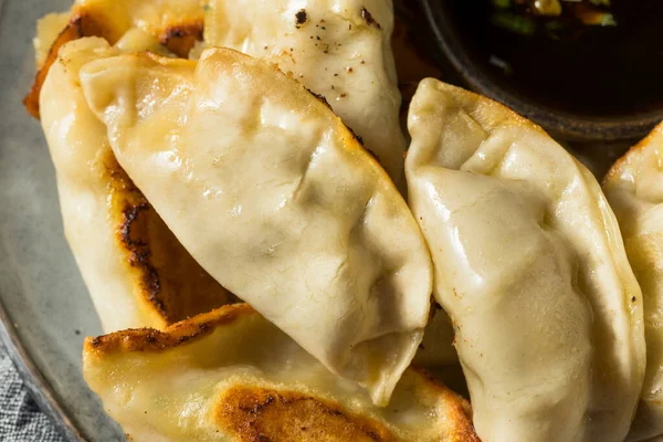 Caseiro Gyzo Asian Pork Potstickers Com Molho Soja — Fotografia de Stock