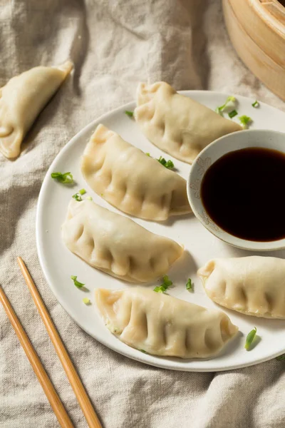 Dumplings Cerdo Hechos Casa Listos Para Comer —  Fotos de Stock