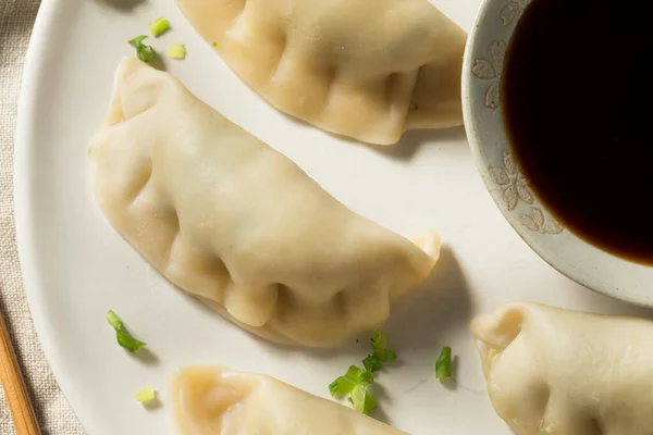 自家製蒸し豚餃子食べる準備ができている — ストック写真